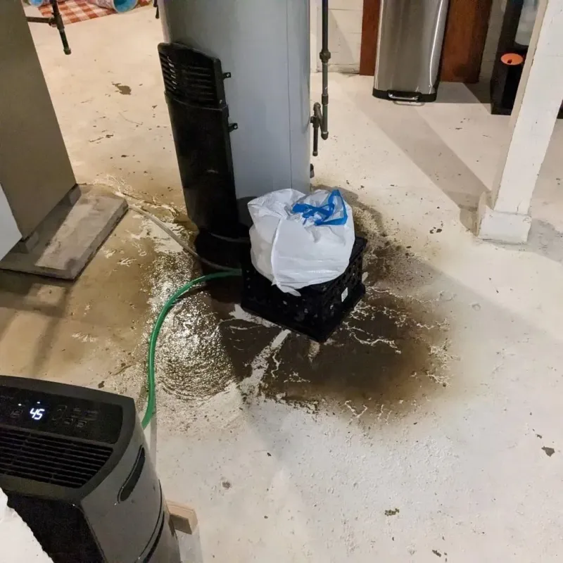 Sewage Backup Cleanup Service in Bartolo, PR